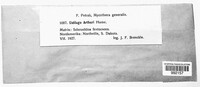 Image Associated With the Occurence